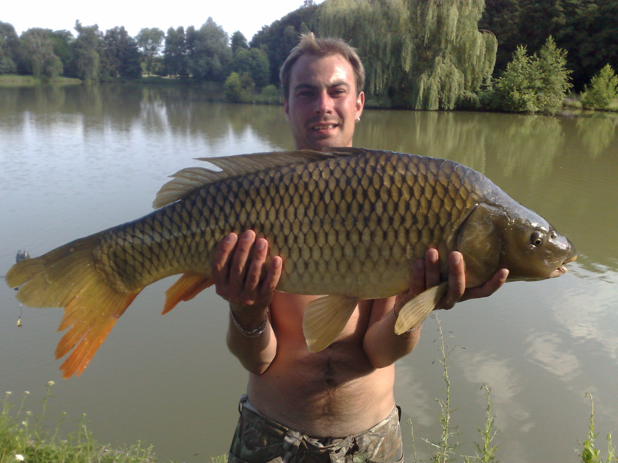 kapr 81cm,11kg.jpg